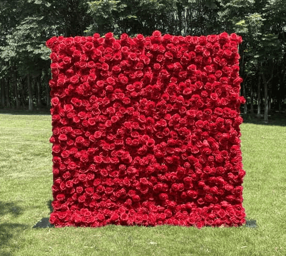 Red Rose Backdrop Package